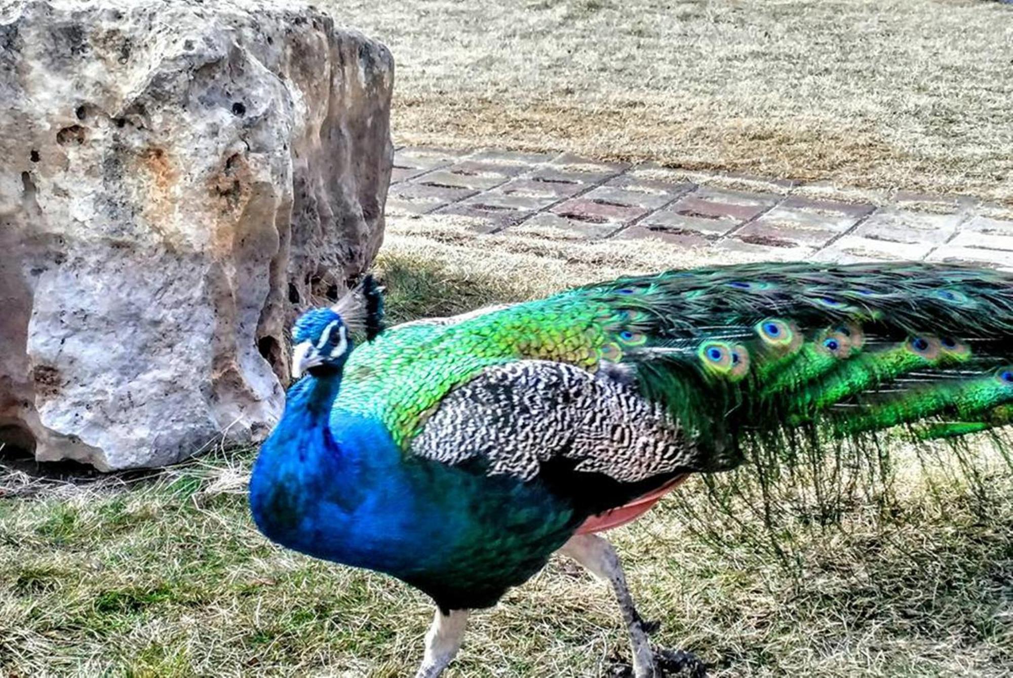 Basaranlar Thermal Otel Gazligol Bagian luar foto
